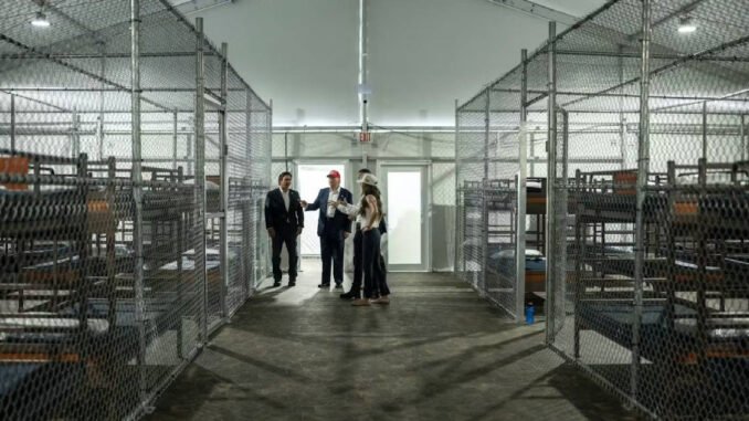 EE.UU. vacía Alligator Alcatraz y mueve a cubanos mayores