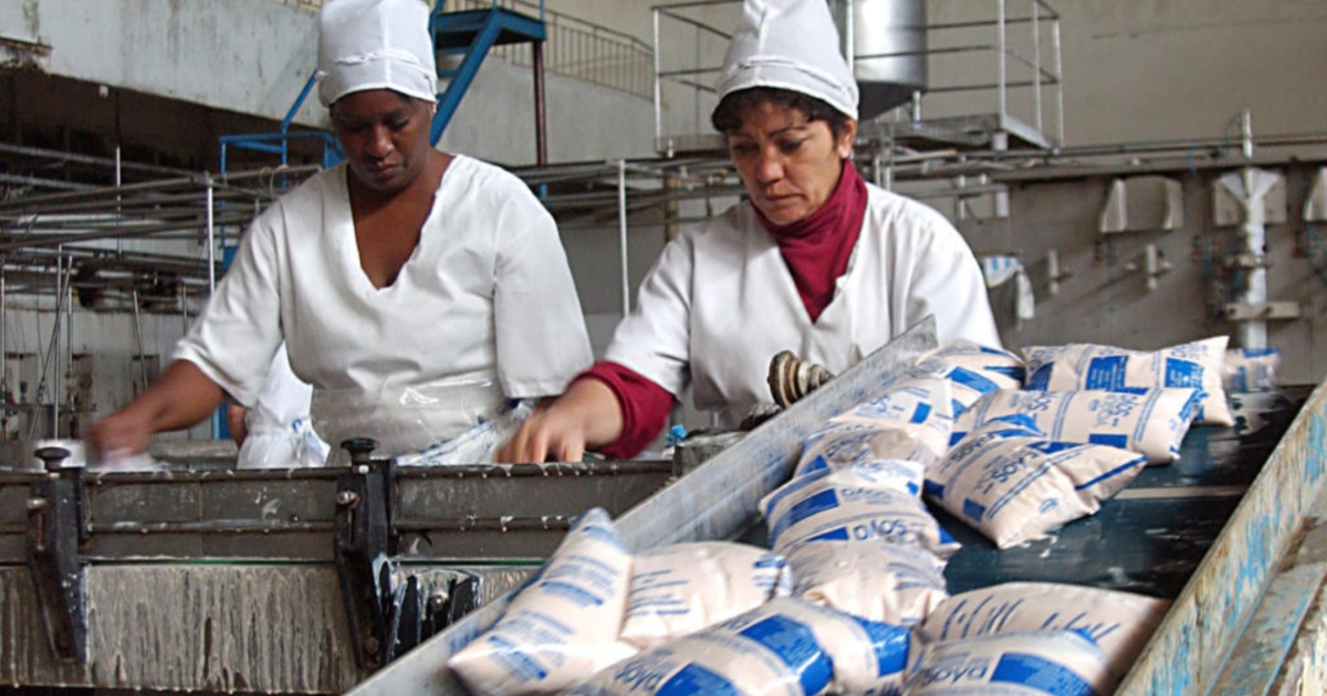 «Ay, mira, otro logro de la revolución»: Guantánamo anuncia que retomará producción de yogur de soya