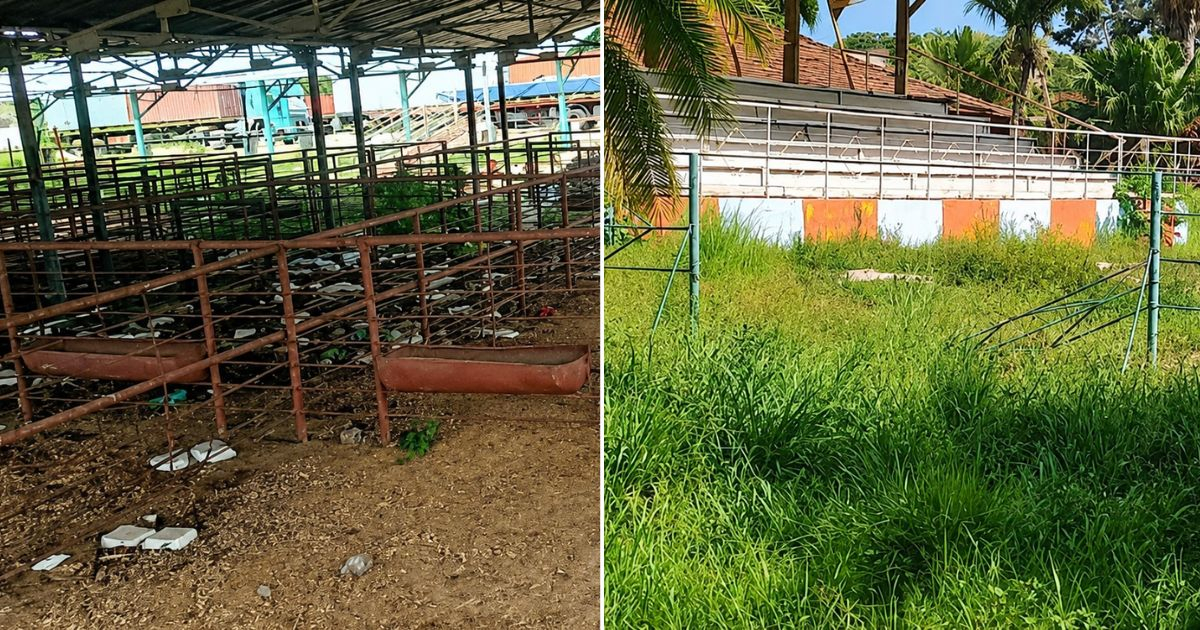 Rancho Boyeros se cae a pedazos: piden rescatar la «catedral de la ganadería cubana»