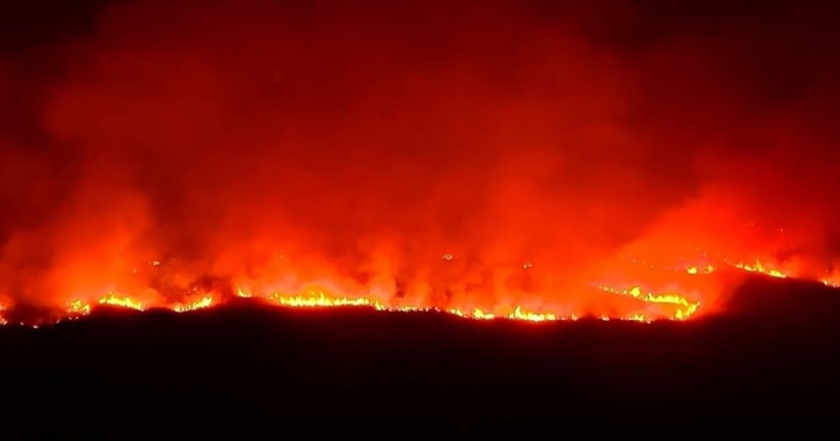 Voraz incendio forestal afecta a miles de acres en los Everglades