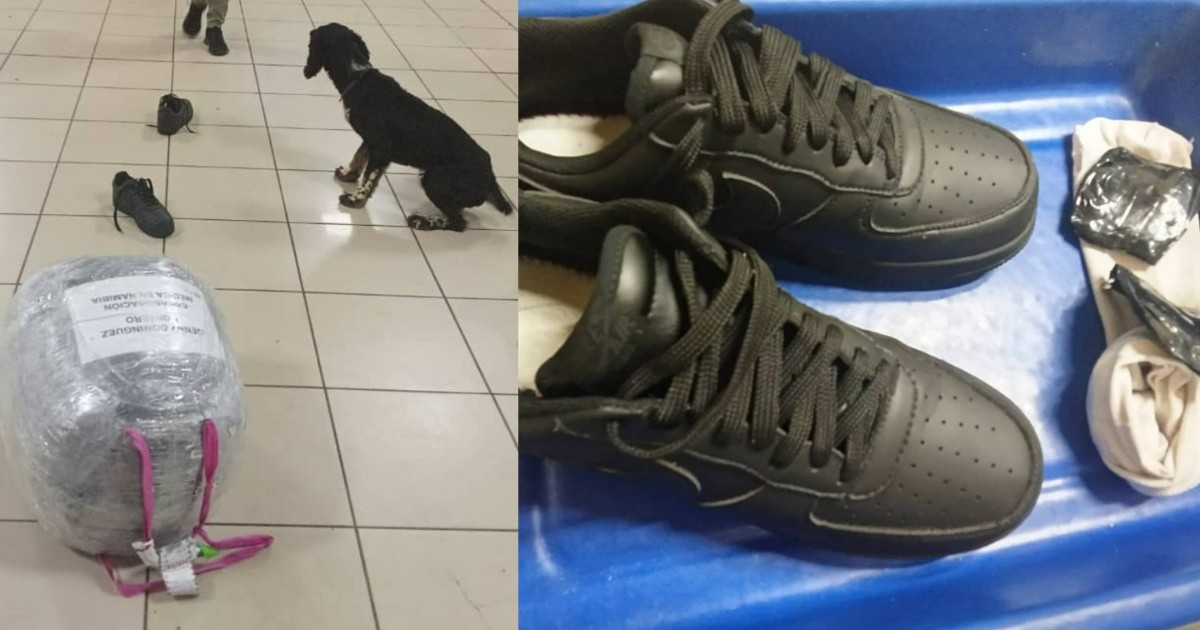 Aduana de Cuba detecta cocaína en el interior del zapato de un pasajero – CiberCuba