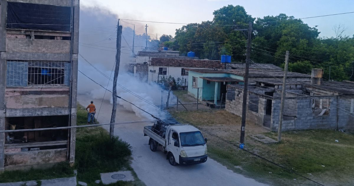 Villa Clara confirma circulación de dengue II y IV en Ranchuelo: «En horas pueden agravar al paciente»