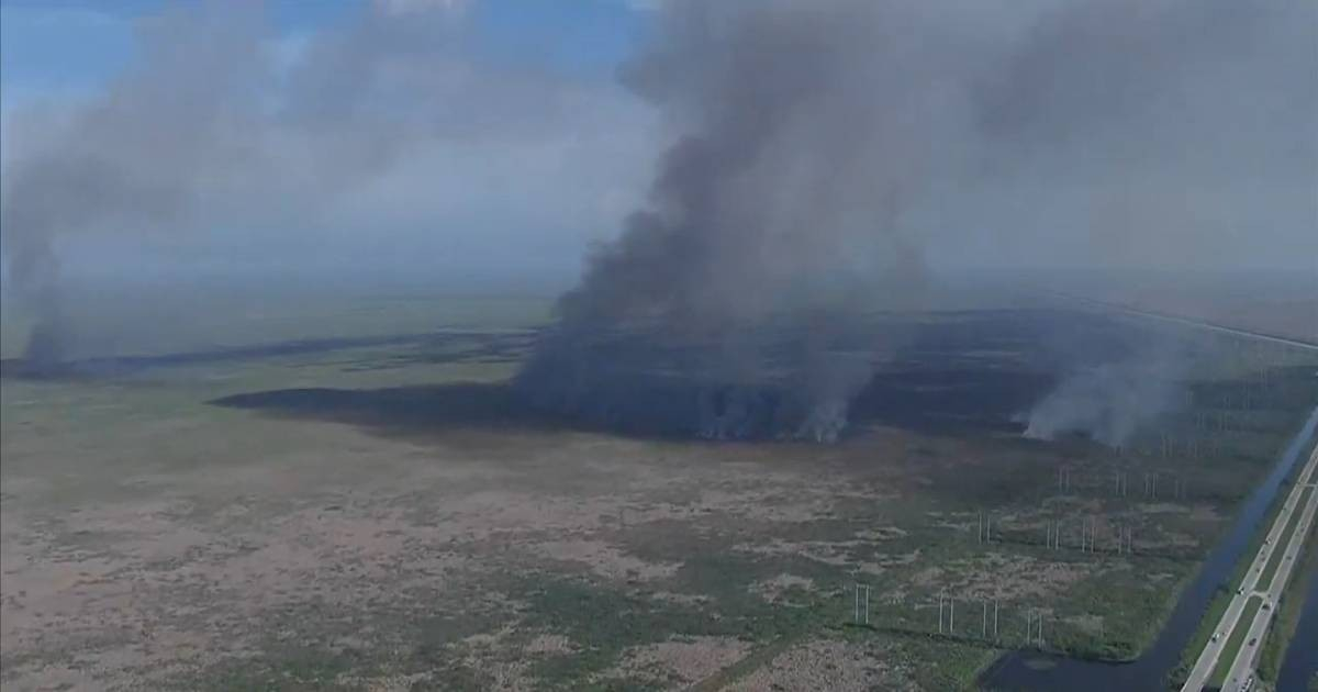 Florida arde: Casi 50 incendios arrasan más de 10,000 hectáreas por la intensa sequía