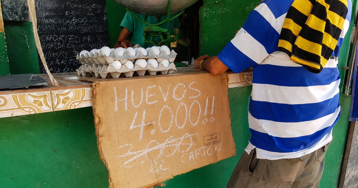República Dominicana reanuda las exportaciones de huevos a Cuba con un envío de casi 4 millones de unidades – CiberCuba