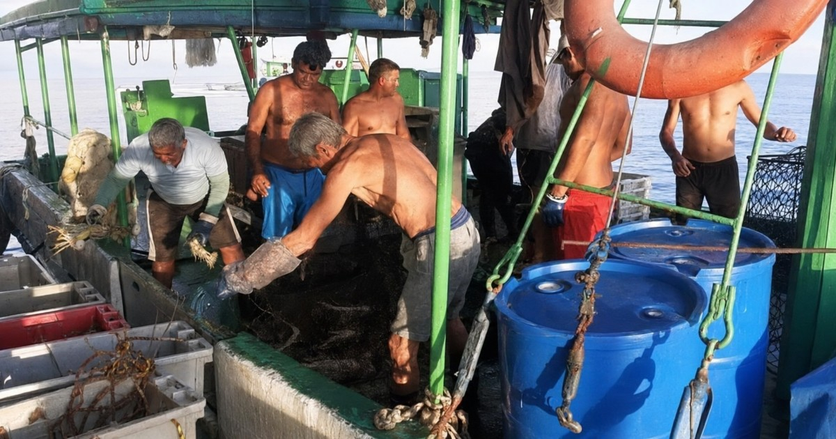 Flota incompleta y combustible escaso: aun así el régimen cubano exige más langosta en Trinidad