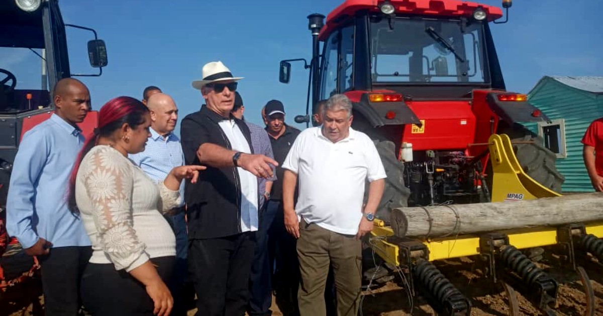 Díaz-Canel se asoma al camellón en Pinar del Río con sombrero panamá y guayabera bordada – CiberCuba
