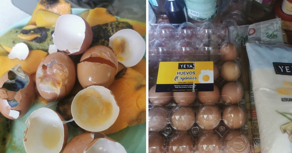 Cubana estalla tras recibir podridos los huevos comprados en dólares: «Cuestan el salario de un mes» – CiberCuba