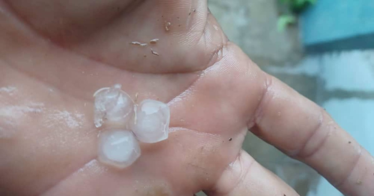 Tormenta severa con granizo azota Perico García en Pinar del Río y causa daños en cultivos de plátano