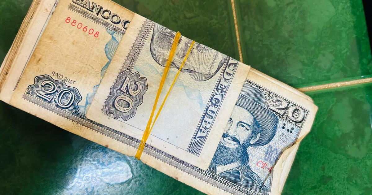 Animalista estalla ante rechazo de billetes de 20 pesos en Mayabeque: «Ni yo ni los míos nos vamos a quedar sin comer»