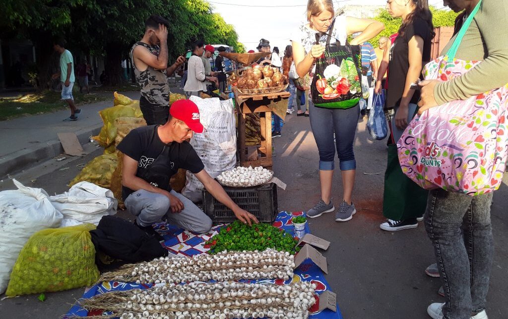 Feria agroindustrial en Cienfuegos celebra el 26 de Julio con ofertas y precios accesibles