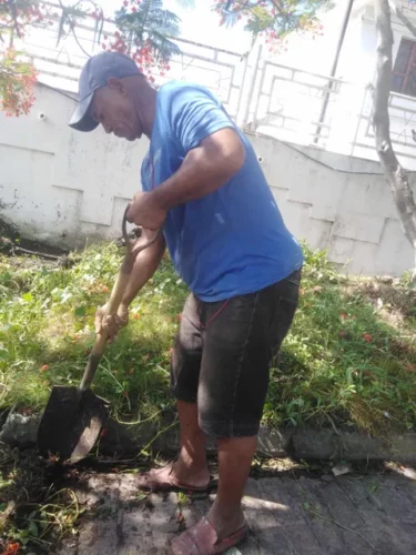 Viajero engalana sus locales