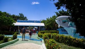 Acuario Nacional de Cuba: De nuevo el mundo del mar al alcance de todos (+ Video) Victoria