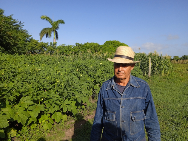 Apuesta por la agroecología en Cienfuegos