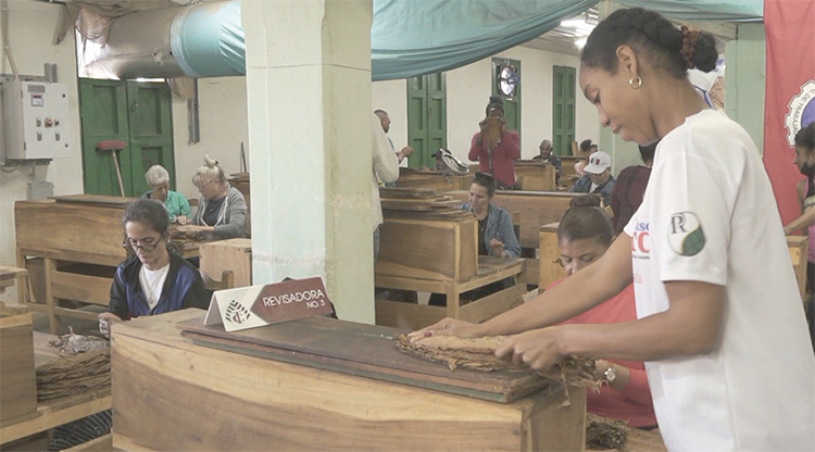 CTC en Pinar del Río: Trajimos la sede