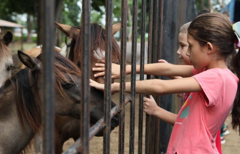 Nuevos precios para la entrada al zoológico
