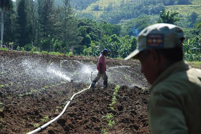 Aprueban nuevas normas en Decreto Ley para cooperativas agropecuarias