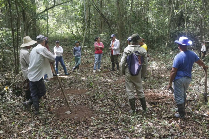 Proyectos medioambientales en la geografía de Yaguajay