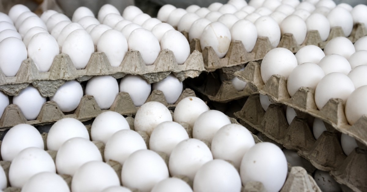 ¡Olvídate del aceite! El precio del huevo también se dispara en Cuba y ronda los 6 mil pesos por cartón – CiberCuba