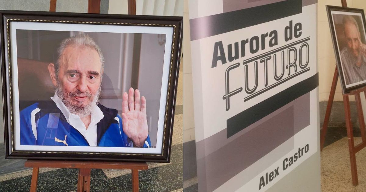 «Fidel, el caballo espera por ti»: La UH se suma a las loas al dictador con exposición de Alex Castro