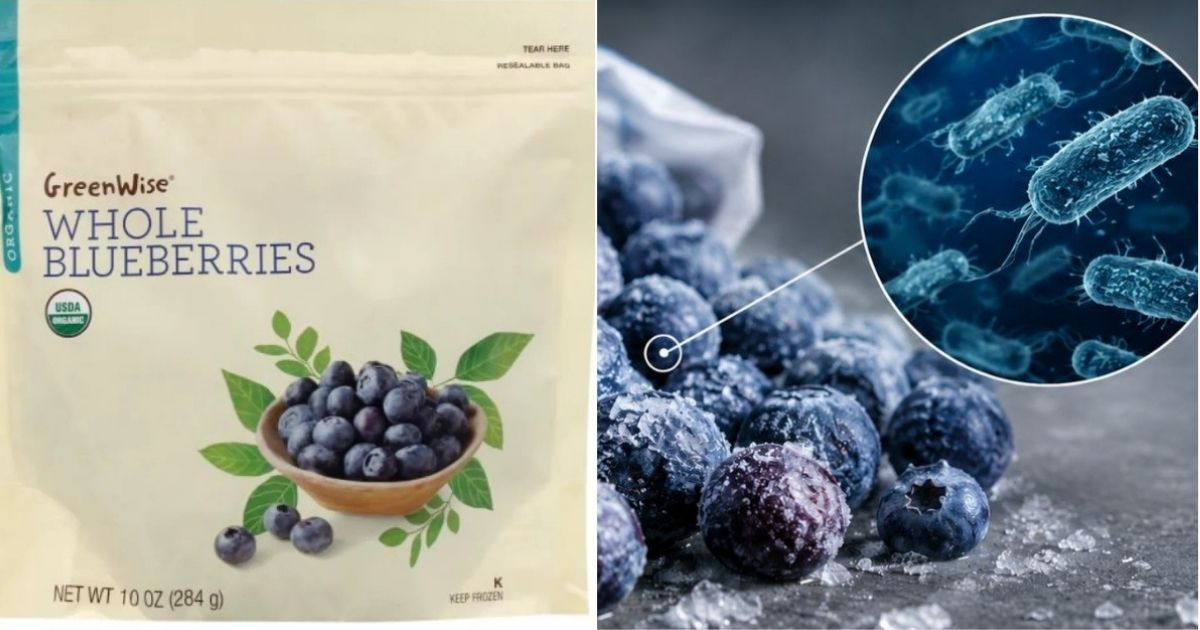 Publix extiende retirada de arándanos congelados por contaminación con E. coli