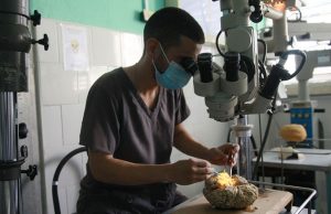 Neurocirugía y su apuesta por calidad de vida del paciente