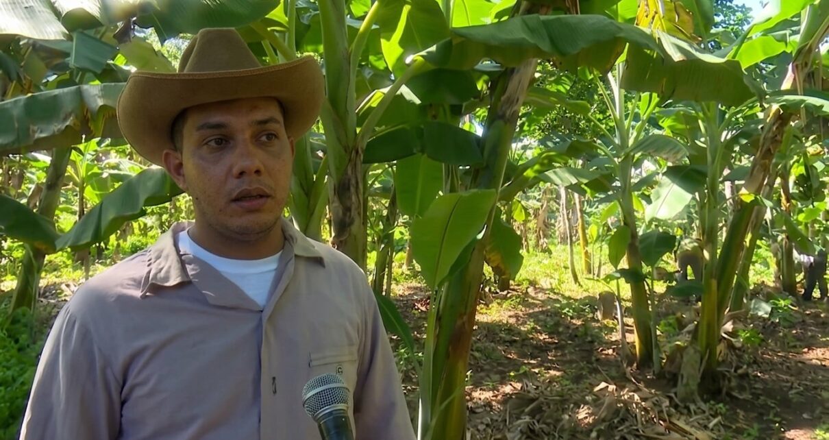 Acusado de robo en Texas reaparece en Cuba como un próspero productor de café – Periódico Cubano