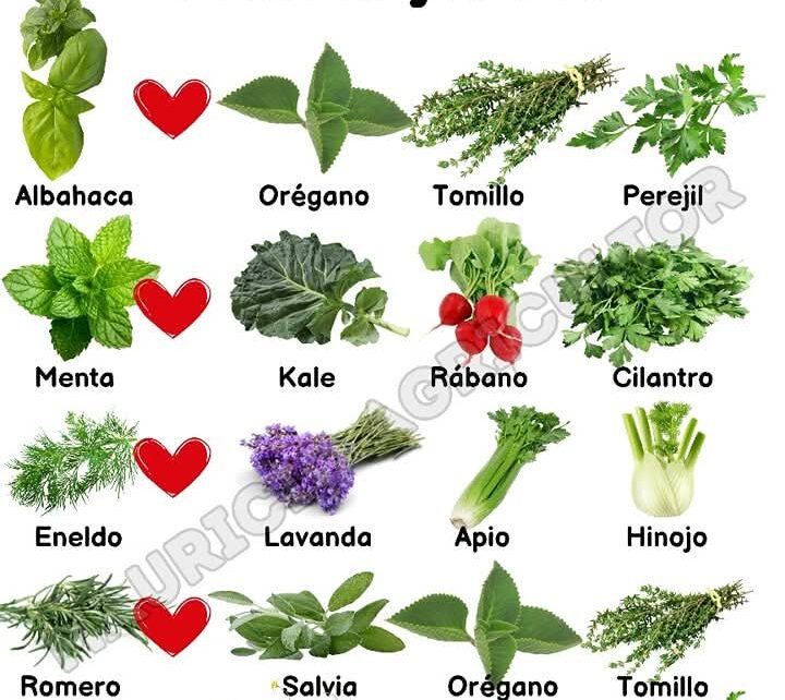 Afinidad entre las plantas de cultivo