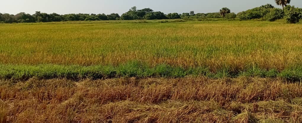 El compromiso de producir la tierra en Las Charcas