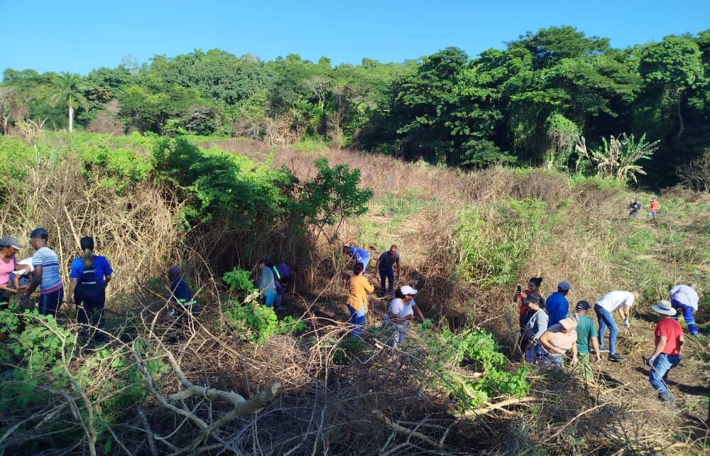Trabajadores de Matanzas honran centenario de Fidel con jornada de trabajo voluntario