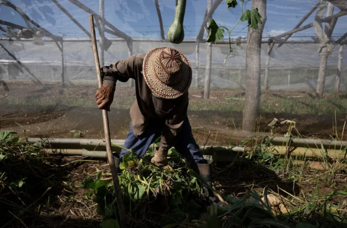 Estados Unidos apunta ahora al suministro de alimentos de Cuba La Demajagua