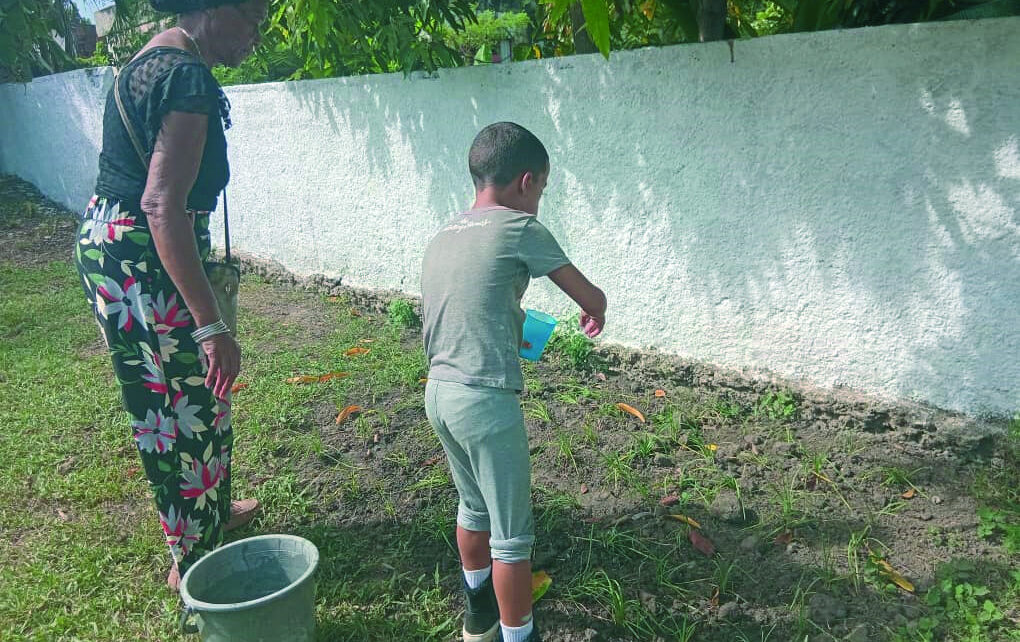 Un centro urgente en Pinar del Río para el cuidado y el amor