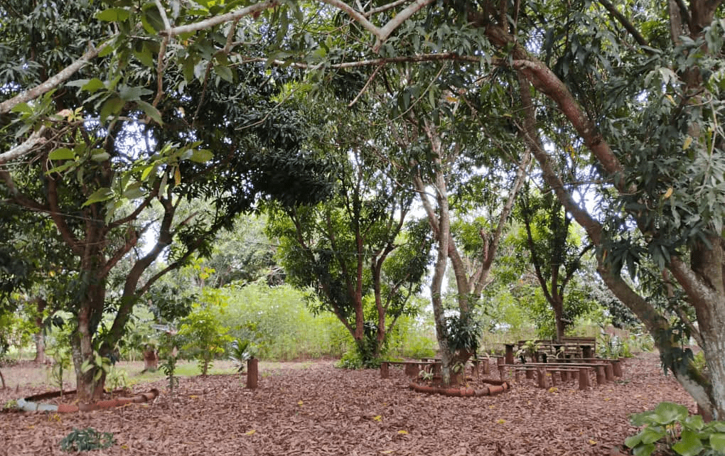 Paraje al que siempre queremos regresar Radio Caribe