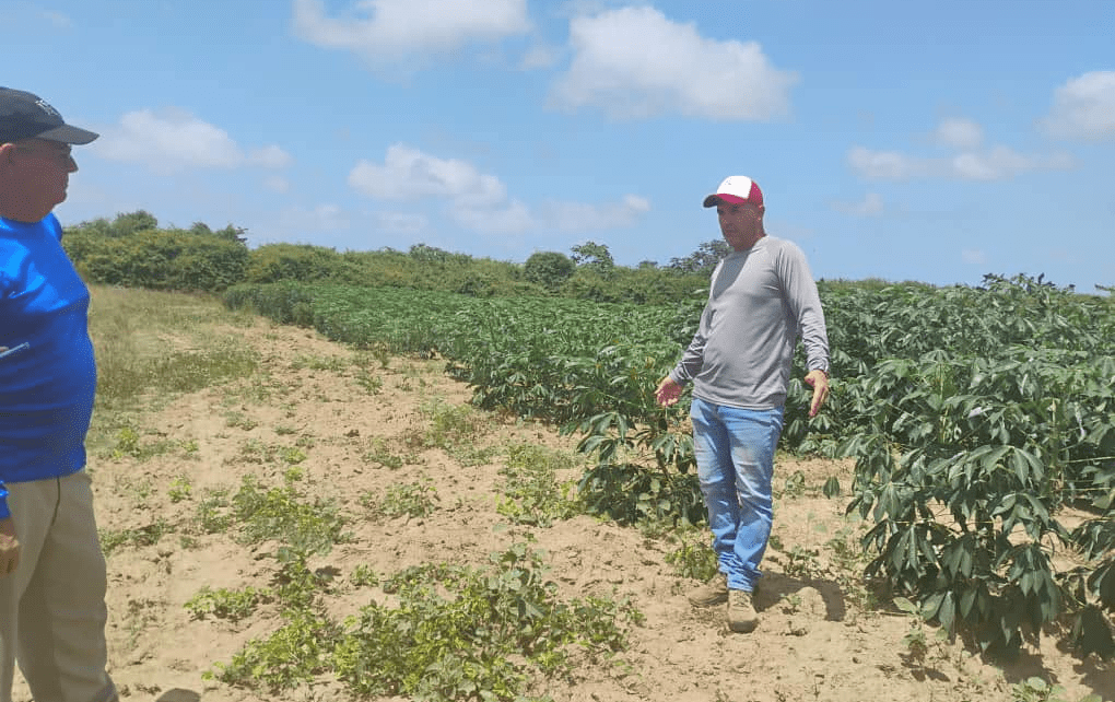 Chequean programas de producción agrícola Radio Caribe