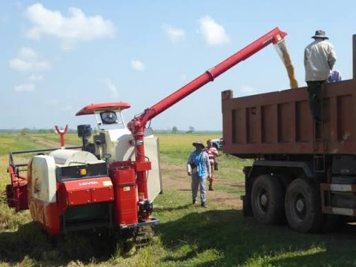 Firman acuerdo para entrega de arroz del proyecto «TB AGRI Conectando Vietnam con Cuba La Demajagua