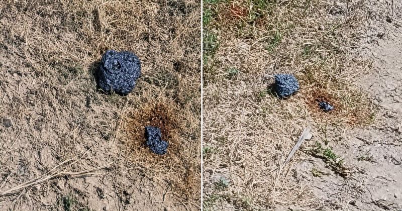 Regresa la fiebre del meteorito: ¿qué cayó realmente en Pilón?