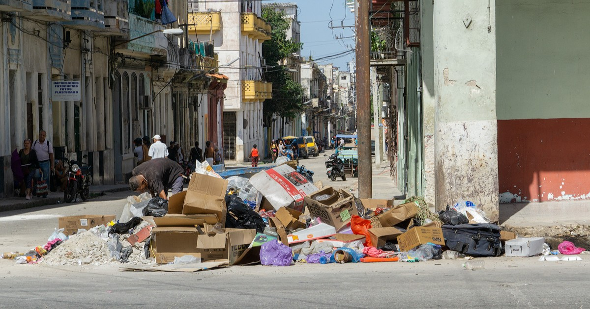 «El socialismo cubano no ha muerto; está en el desierto, mordiendo el polvo», dice Raúl Torres