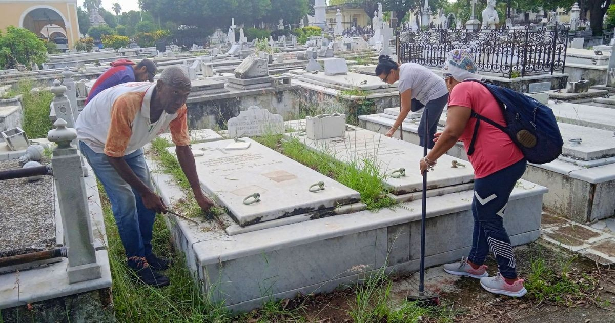 La hierba invade tumbas de escritores en el Cementerio de Colón y el ICL organiza jornadas de limpieza