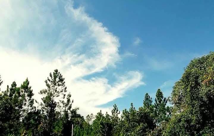 Cerro de Cabras: naturaleza y paisaje en Pinar del Río