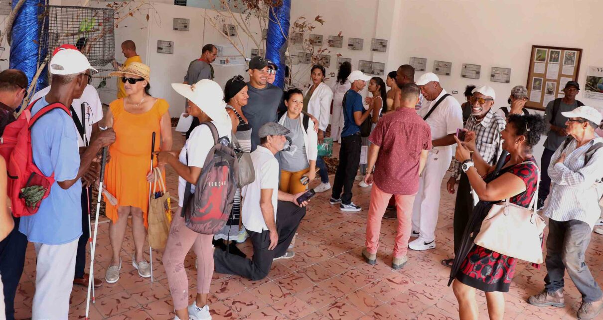 Invaden aves principal galería de arte de Nueva Gerona