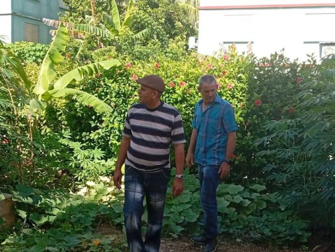 Un tin de cultivos por el bien del barrio Trabajadores