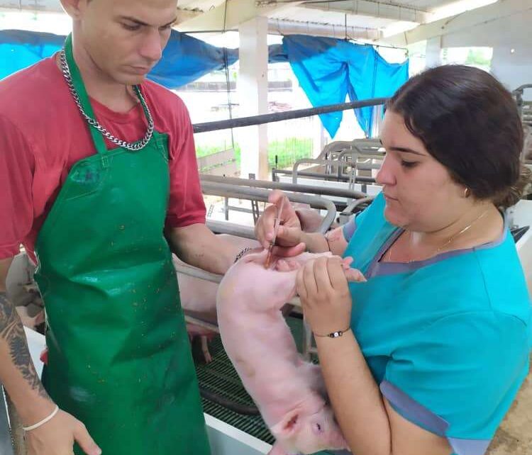 Estatales y privados: Una fórmula que duplica Artemisadiario