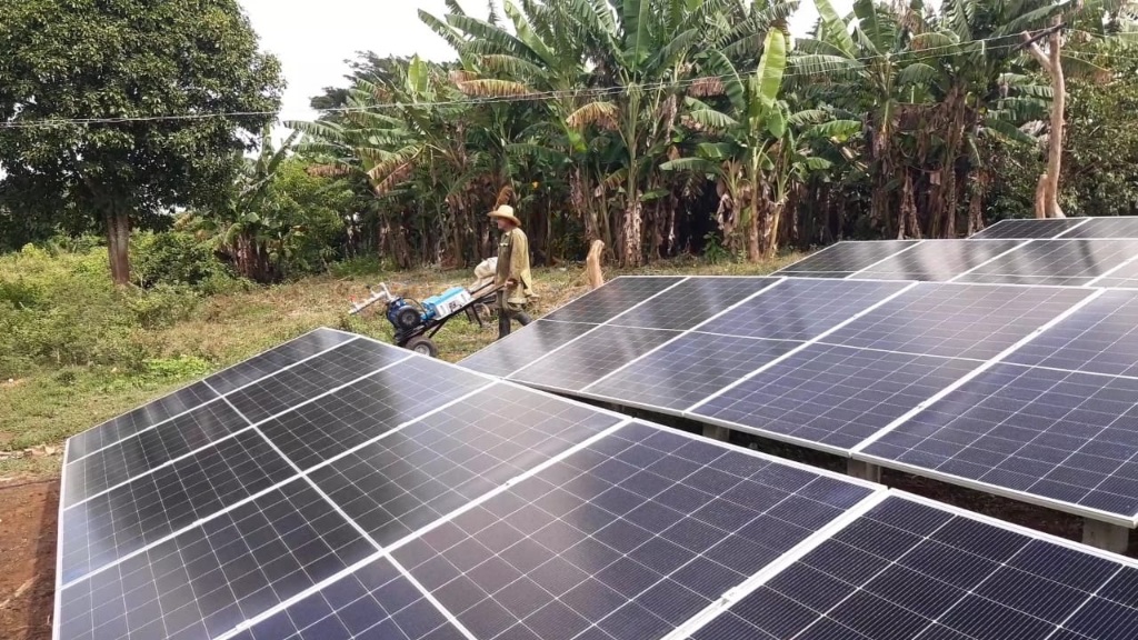 Bombas solares para el tabaco (+fotos) Escambray