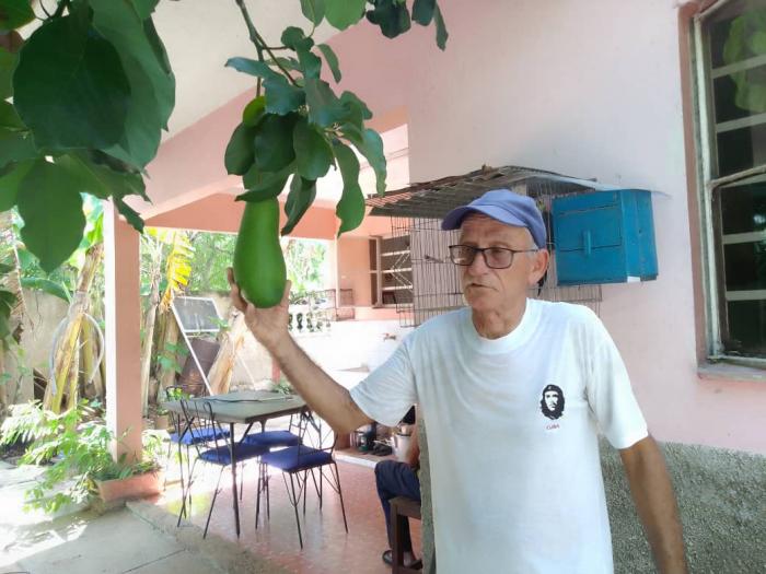 Producir en un pedacito de tierra