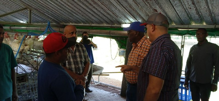 Verificó vicepresidente cubano producción de granos en Ciego de Ávila