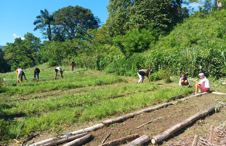 Proyecto de cambio climático impulsa formación agroecológica