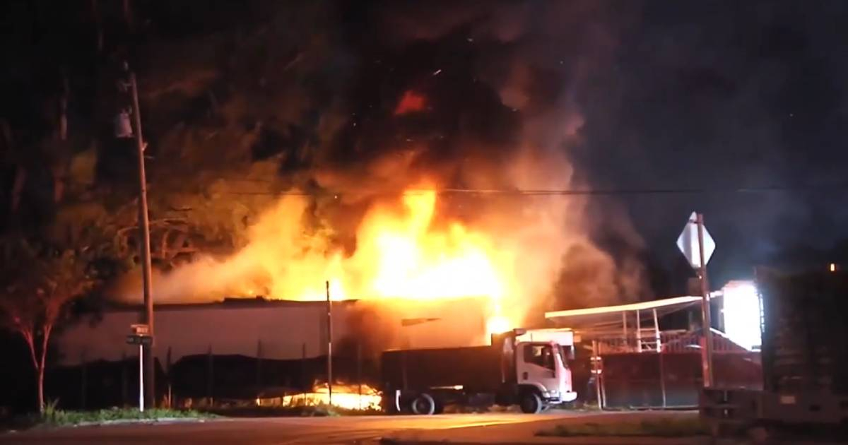 Incendio destruye tráiler en Miami-Dade: un hombre pierde sus pertenencias, pero sus cuatro mascotas sobreviven
