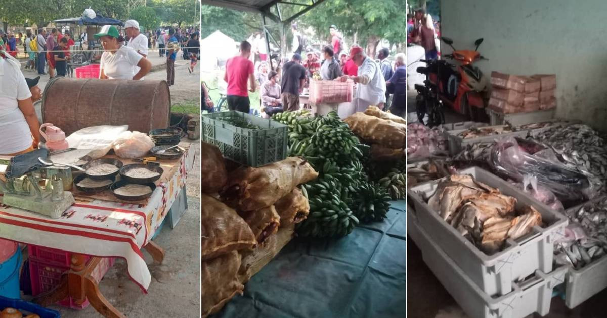 “Hay de todo, pero cuando vas ya no queda nada”: tuneros critican la feria agrocomercial por sus precios y la calidad de los productos