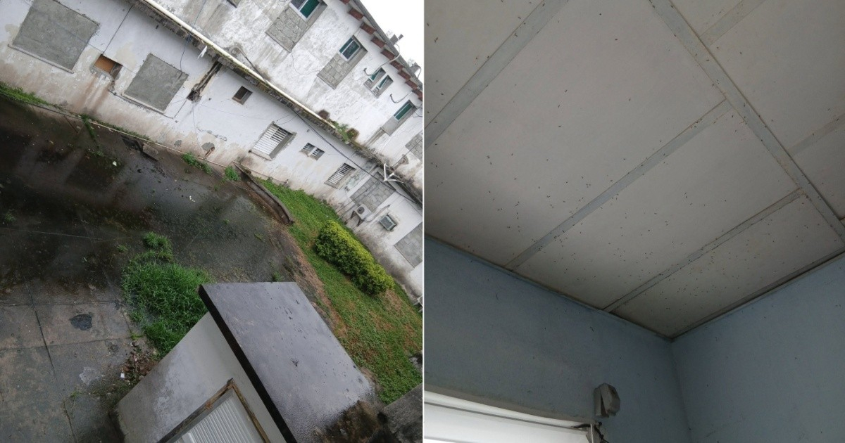 Cubana denuncia criadero de mosquitos en hospital de Baracoa mientras su nieto espera traslado por falta de combustible