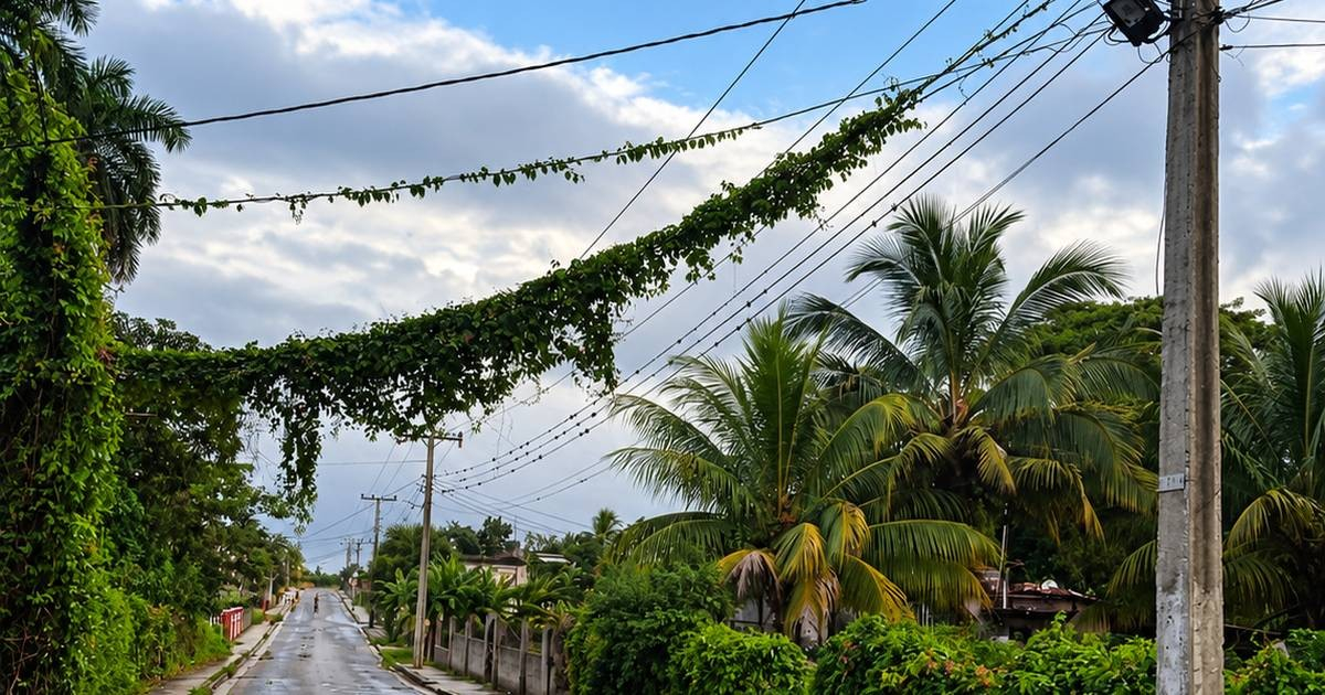 Un pueblo de Cuba lleva más de 100 días sin electricidad y sin agua: «Cada vez más cerca de la comunidad… – CiberCuba