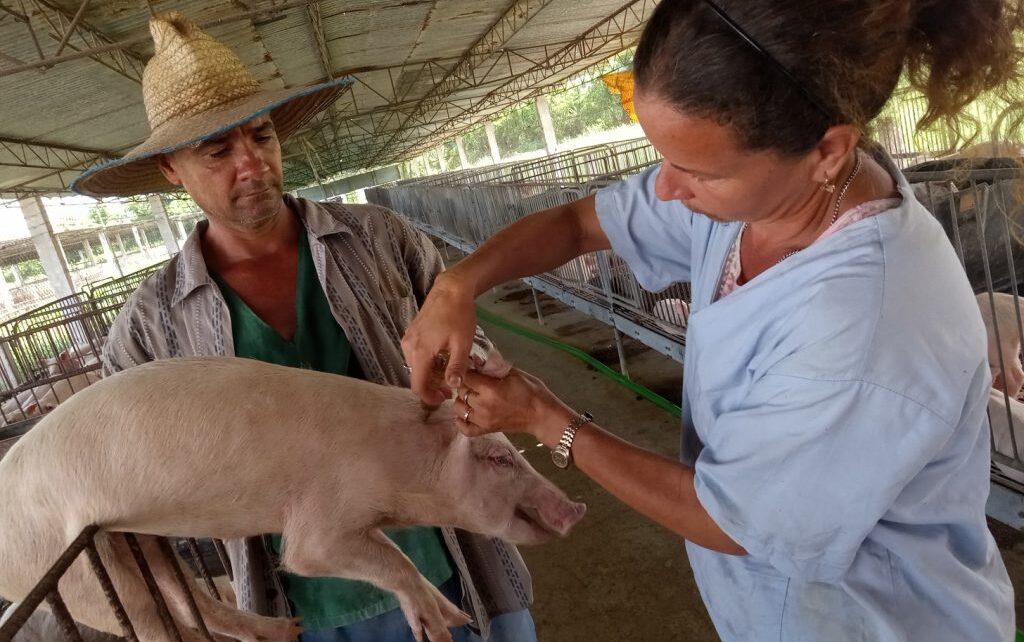 Dame la mano… y produciremos